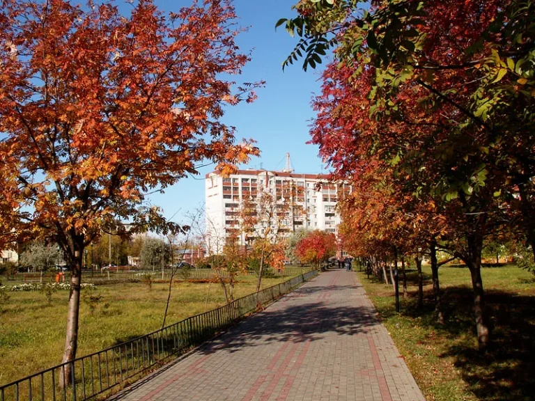 Сквер им. Чкалова