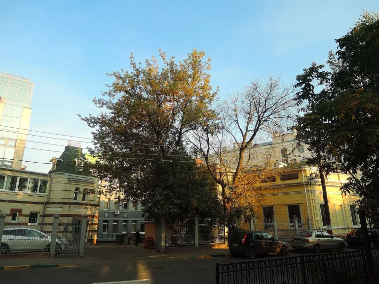Усадьба Щелокова